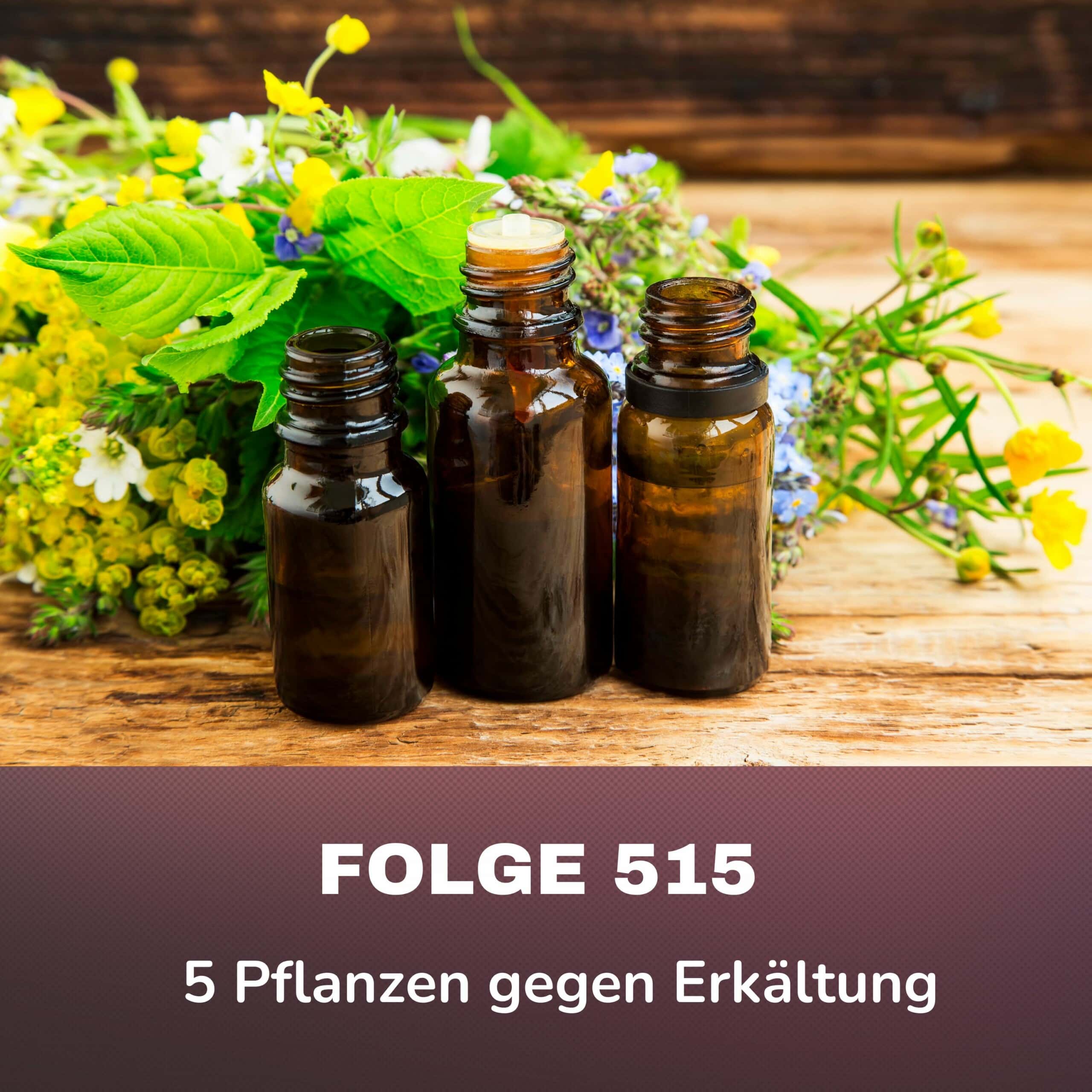Folge 515 - #healthy shot - 5 Pflanzen gegen Erkältung