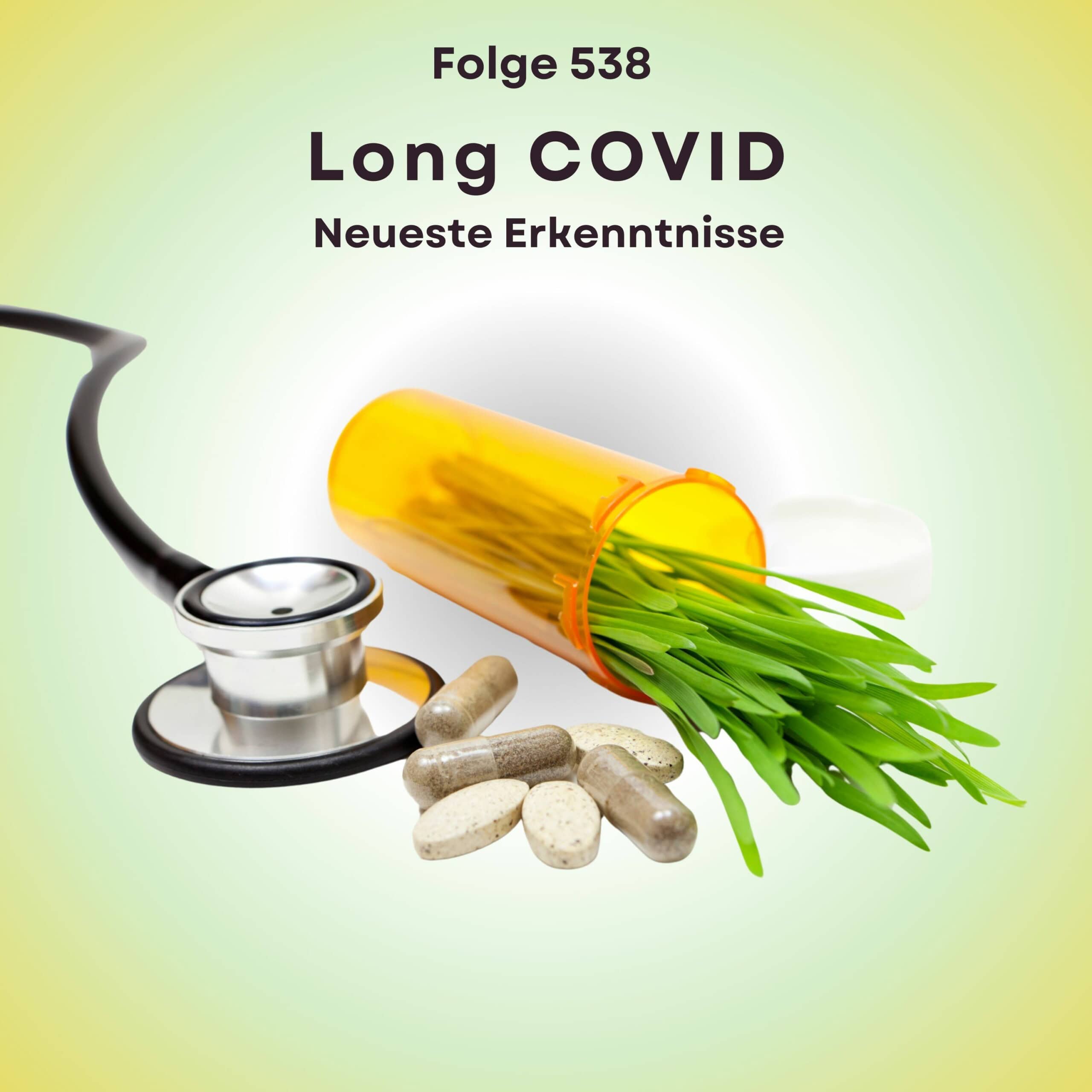 Folge 538 - Long Covid - Neueste Erkenntnisse